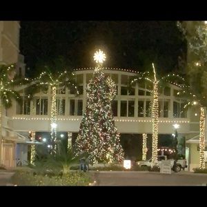 Meet your Posher, Priyal